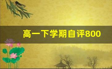 高一下学期自评800字_高一下学期综合素质自我陈述