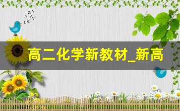 高二化学新教材_新高考新教材高二化学