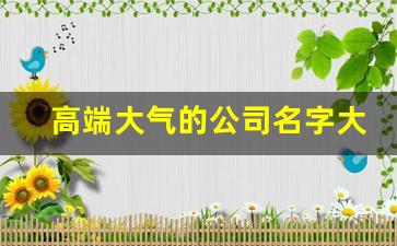 高端大气的公司名字大全