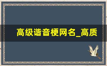 高级谐音梗网名_高质量二字ID