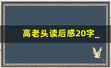 高老头读后感20字_高老头阅读感悟