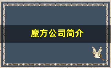 魔方公司简介