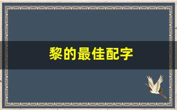 黎的最佳配字