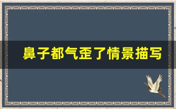 鼻子都气歪了情景描写_仿照鼻子都气歪了—气急败坏