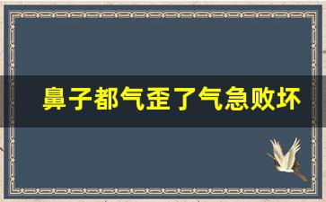 鼻子都气歪了气急败坏类似的句子_鼻子都气歪了写一句话